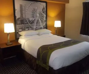 Photo 2 - Super 8 by Wyndham Lynnwood