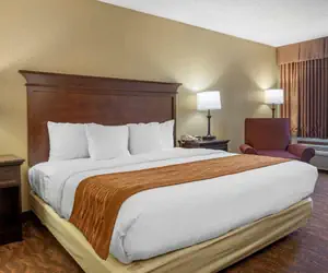 Photo 5 - Comfort Inn at Thousand Hills