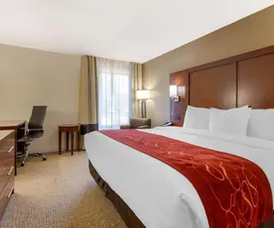 Photo 5 - Comfort Inn & Suites Macon West