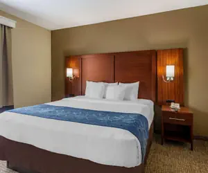 Photo 5 - Comfort Suites At Rivergate Mall