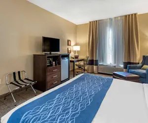 Photo 4 - Comfort Inn & Suites Bryant - Benton