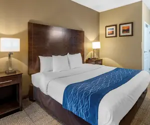 Photo 5 - Comfort Inn & Suites Bryant - Benton