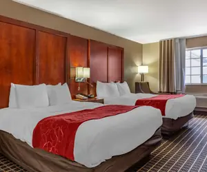 Photo 4 - Comfort Suites Delavan - Lake Geneva Area