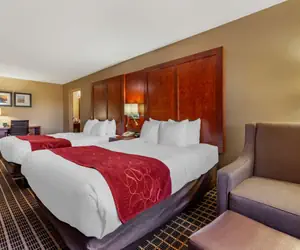 Photo 5 - Comfort Suites Delavan - Lake Geneva Area