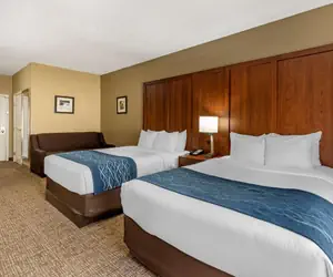 Photo 4 - Comfort Inn & Suites El Dorado