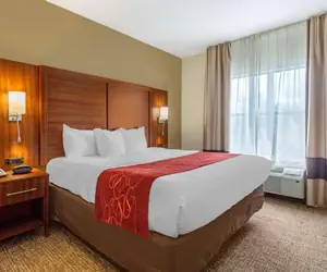 Photo 3 - Comfort Suites Southaven I-55