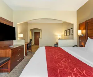 Photo 4 - Comfort Suites Southaven I-55