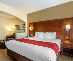 Photo 5 - Comfort Suites Southaven I-55