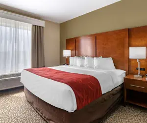 Photo 4 - Comfort Suites Florence I-95