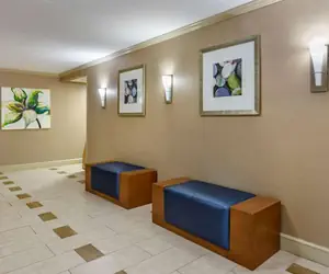 Photo 4 - Comfort Inn Roanoke Civic Center