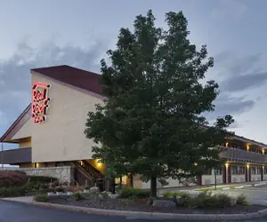 Photo 3 - Red Roof Inn Lansing West - MSU