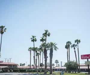 Photo 3 - Red Roof Inn Blythe