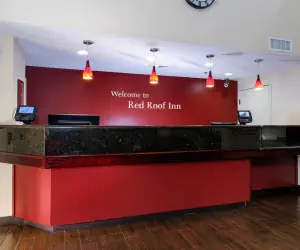 Photo 5 - Red Roof Inn PLUS+ Palm Coast