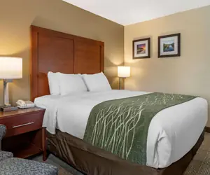 Photo 2 - Comfort Inn & Suites Dimondale - Lansing