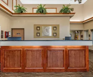 Photo 4 - Comfort Inn & Suites Dimondale - Lansing