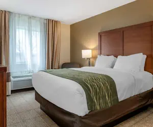 Photo 5 - Comfort Inn & Suites Dimondale - Lansing