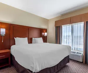 Photo 3 - Comfort Inn & Suites Carbondale University Area