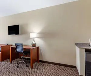 Photo 4 - Comfort Inn & Suites Carbondale University Area