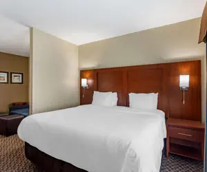 Photo 5 - Comfort Inn & Suites Carbondale University Area