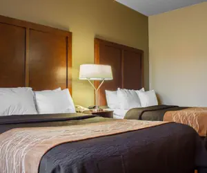 Photo 2 - Comfort Inn & Suites near Kino Sports Complex