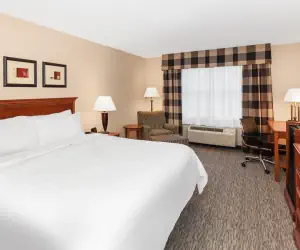 Photo 4 - Holiday Inn Express Hotel & Suites Hampton South-Seabrook, an IHG Hotel