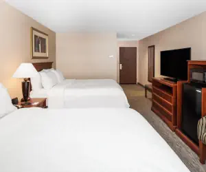 Photo 3 - Holiday Inn Express Hotel & Suites Hampton South-Seabrook, an IHG Hotel