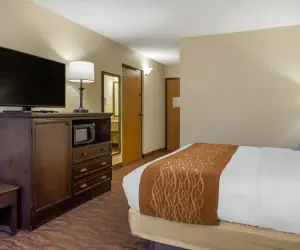 Photo 4 - Comfort Inn at Thousand Hills