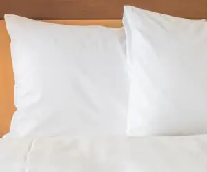 Photo 5 - Holiday Inn Express Hotel & Suites Tempe, an IHG Hotel