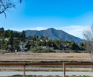 Photo 3 - Holiday Inn Express Mill Valley San Francisco Area, an IHG Hotel