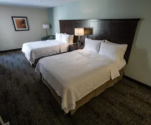 Photo 3 - Staybridge Suites Silicon Valley - Milpitas, an IHG Hotel