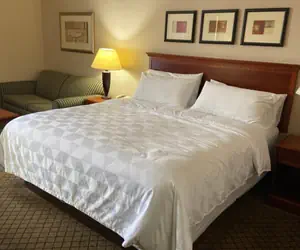 Photo 2 - Holiday Inn Dayton/Fairborn I-675, an IHG Hotel