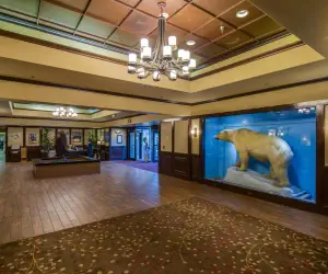 Photo 2 - The Lakefront Anchorage