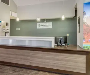 Photo 5 - Clarion Pointe Wake Forest - Raleigh North