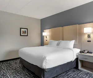 Photo 5 - Comfort Inn Hyannis - Cape Cod