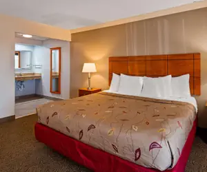 Photo 4 - Best Western Thunderbird Motel