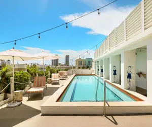 Photo 5 - The Local House