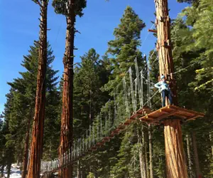 Photo 5 - Granlibakken Tahoe