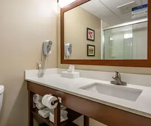 Photo 4 - Comfort Inn