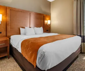 Photo 3 - Comfort Suites Bethlehem Near Lehigh University and LVI Airport