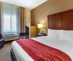 Photo 4 - Comfort Inn