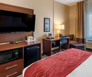 Photo 5 - Comfort Inn