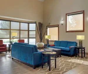 Photo 4 - Comfort Inn University Area