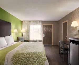 Photo 4 - Days Inn by Wyndham Hardeeville/ I-95 State Line