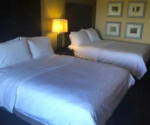 Photo 3 - Holiday Inn Express Hotel & Suites Lansing-Dimondale, an IHG Hotel