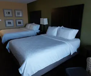 Photo 5 - Holiday Inn Express Hotel & Suites Lansing-Dimondale, an IHG Hotel