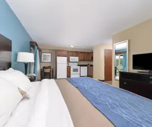 Photo 3 - Comfort Inn & Suites Springfield I-55