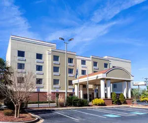Photo 3 - Comfort Suites Forsyth near I-75