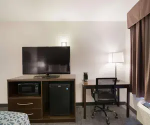 Photo 5 - Econo Lodge Williston