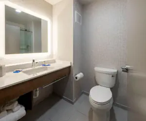 Photo 2 - Holiday Inn Express Hotel & Suites Petersburg/Dinwiddie, an IHG Hotel