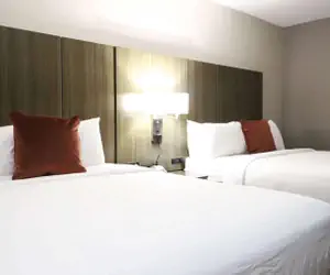 Photo 4 - Wingate by Wyndham Jackson Ridgeland